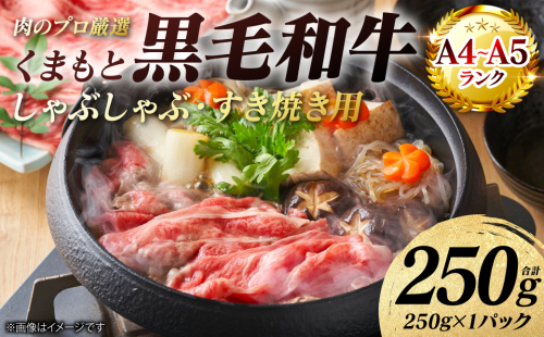 【A4～A5ランク】 くまもと黒毛和牛 しゃぶしゃぶ すき焼き用 （肩ロース） 250g （250g×1パック） 牛肉 お肉 ロース 黒毛和牛 冷凍 小分け おかず ギフト 熊本県 八代市 2710872 - 熊本県八代市