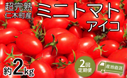 8・9月 2回発送[先行受付] 超完熟ミニトマト【アイコ】2kg（1kg×2箱）栽培期間中 農薬・除草剤不使用 サイズ混載 トマト ミニトマト アイコ 野菜 定期便 北海道 仁木町 [アイコファーム] 2710951 - 北海道仁木町