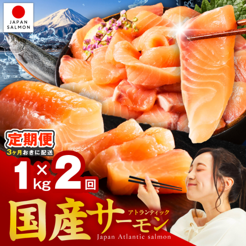 【分けて届く定期便】国産アトランティックサーモン 1kg ポーション【小分け 真空パック 訳あり サイズ不揃い 刺身 海鮮丼 さーもん 鮭 さけ シャケ しゃけ 冷凍 全2回】 099Z616 2710955 - 大阪府泉佐野市