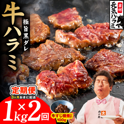 【分けて届く定期便】極旨黒ダレ 牛ハラミ 総量 1kg【牛肉 はらみ 小分け 焼肉 お弁当 BBQ 訳あり ワケアリ わけあり サイズ不揃い 規格外 全2回】 099Z617 2710956 - 大阪府泉佐野市