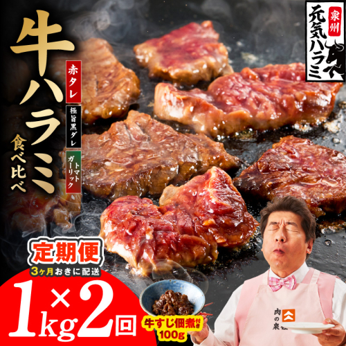 【分けて届く定期便】牛ハラミ 3種食べ比べ 総量 1kg【牛肉 はらみ 小分け 焼肉 お弁当 BBQ 訳あり ワケアリ わけあり サイズ不揃い 規格外 全2回】 099Z619 2710958 - 大阪府泉佐野市