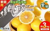 [木下さんちのニューサマーオレンジ 家庭用 約3kg(大中小サイズ混み)] 柑橘類 日向夏 ミカン 蜜柑 果物 くだもの フルーツ 国産 特産品 木下農園 愛媛県 西予市[常温]『2027年4月上旬〜5月中旬に順次出荷』
