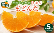 紅まどんなと同品種！＜木下さんちのまどんな 訳あり 約5kg＞『2026年12月に順次出荷』愛媛果試第28号 柑橘類 みかん ミカン 果物 くだもの フルーツ 不揃い 自宅用 愛媛果試第28号 特産品 産地直送 マドンナ 木下農園 西宇和 愛媛県 西予市【常温】