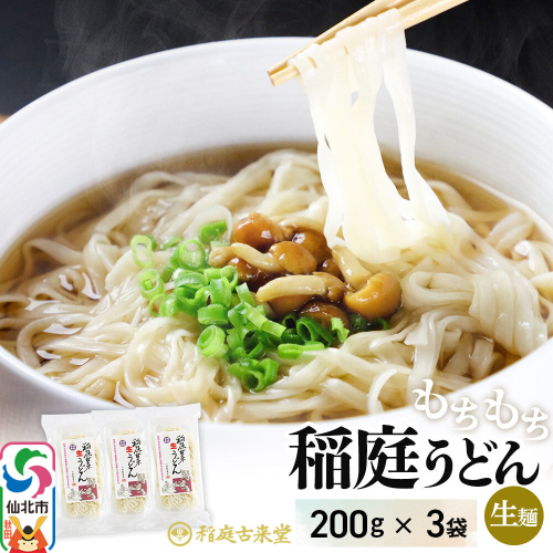 稲庭古来堂 稲庭古来生うどん 200g×3パック 伝統製法認定 稲庭うどん 稲庭古来うどん [生麺 なまめん 生めん 細麺 無添加 モチモチ ツルツル もちもち つるつる ご当地 お取り寄せ 手綯 てない 稲庭饂飩] 2711374 - 秋田県仙北市