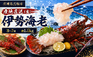 伊勢海老 1.5kg 3～7尾 75000円 冷蔵 生 国産 天然 産地直送 国産 鹿島灘 鹿島灘産 厳選 伊勢エビ エビ 海老 イセエビ 海鮮 シーフード 海 贅の極み 刺身 さしみ 味噌汁 鍋 塩ゆで ぷりぷり 海の恵み グリル グラタン 濃厚 甘み 特別 荒波育ち ボイル 焼き物 バーベキュー 贈答 プレゼント 贈り物 お中元 ギフト 仲野水産 茨城県 鹿嶋市 茨城 鹿嶋