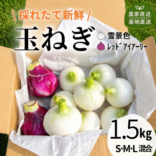 【有機堆肥・栽培期間中農薬不使用】シャキ甘 白＆赤玉ねぎミックス 1.5kg サラダ用 北海道産 十勝 池田町 ゆうゆう農園（たまねぎ 2色 食べ比べ）玉ねぎ たまねぎ 2711472 - 北海道池田町