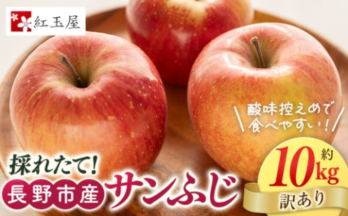 紅玉屋 長野市産【訳あり】サンふじ10kg【2026年12月上旬以降の出荷分】（紅玉屋） |  りんご フルーツ 果物 サンふじ 訳あり 人気 おすすめ ギフト プレゼント 送料無料 長野県 長野市 信州 信濃 ふるさと納税 2711495 - 長野県長野市