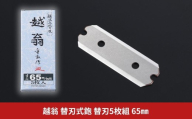越翁 替刃式鉋 替刃5枚組 65mm かんな カンナ えつおう 超仕上替刃 替刃 ナシモト工業 【026S057】
