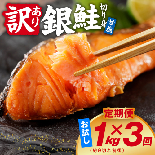 【定期便】銀鮭 切り身 1kg(約9切れ前後) 全3回【訳あり 規格外 甘塩 バラ凍結 海鮮 魚介 鮭 さけ しゃけ お弁当 朝食 おかず 簡単調理 家計応援】 kgpZ042 2711643 - 大阪府泉佐野市