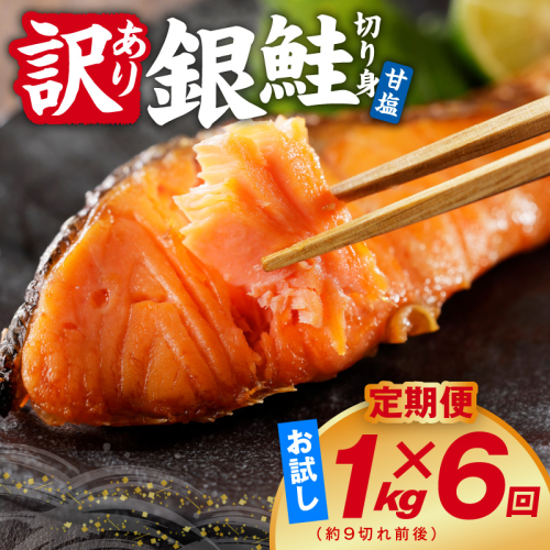 【定期便】銀鮭 切り身 1kg(約9切れ前後) 全6回【訳あり 規格外 甘塩 バラ凍結 海鮮 魚介 鮭 さけ しゃけ お弁当 朝食 おかず 簡単調理 家計応援】 kgpZ043 2711644 - 大阪府泉佐野市