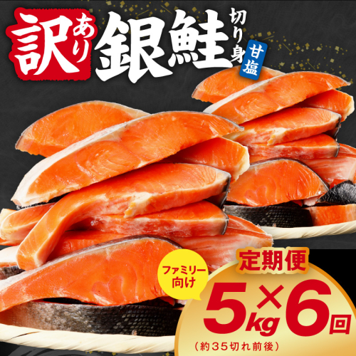 【定期便】銀鮭 切り身 5kg(約35切れ前後) 全6回【訳あり 規格外 甘塩 バラ凍結 海鮮 魚介 鮭 さけ しゃけ お弁当 朝食 おかず 簡単調理 家計応援】 kgpZ041 2711646 - 大阪府泉佐野市