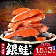 【定期便】熟成 銀鮭 切り身 辛口塩味 合計 1.5kg（約13切れ前後）全3回【規格外 辛口 海鮮 魚介 鮭 さけ しゃけ お弁当 朝食 おかず 簡単調理】 kgpZ032