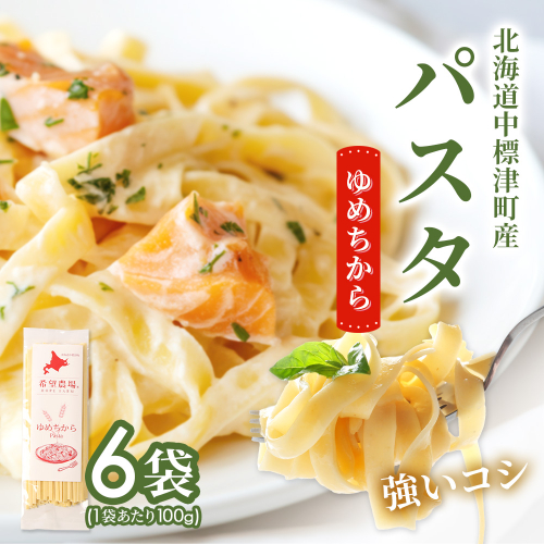 北海道中標津町産「ゆめちから」パスタ×6袋【82004】 2711731 - 北海道中標津町
