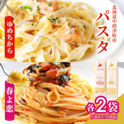 北海道中標津町産「春よ恋」パスタ・「ゆめちから」パスタ 各2袋（合計4袋）【82005】 2711732 - 北海道中標津町