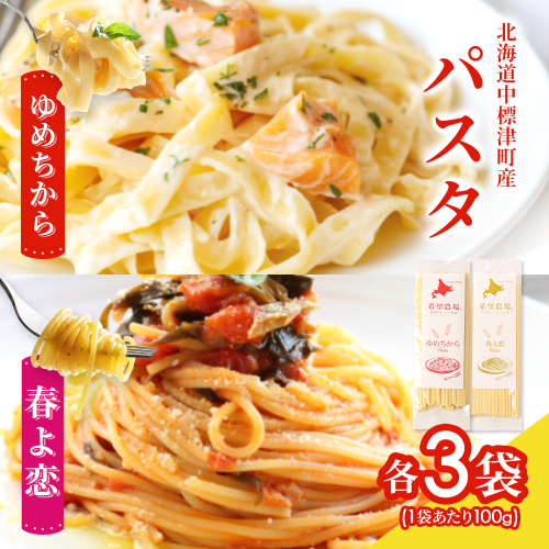 北海道中標津町産「春よ恋」パスタ・「ゆめちから」パスタ 各3袋（合計6袋）【82006】 2711733 - 北海道中標津町