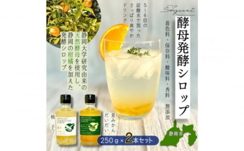 大学研究の天然酵母使用 お酒でもジュースでもない新感覚発酵シロップ　250ｇｘ2本 2711734 - 静岡県静岡市
