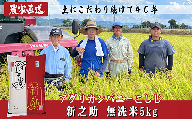 J8-5MS051新潟県長岡産 新之助 無洗米5kg