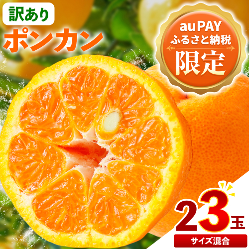 【三太郎の日限定】訳あり ポンカン 5kg 20-25玉 サイズ混合《2月中旬-3月中旬頃出荷》熊本県 葦北郡 津奈木町 ポンカン みかん 柑橘 送料無料 2712097 - 熊本県津奈木町
