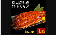大隅産 特上 うなぎ 約600g (約200g×3尾) ウナギ 鰻 蒲焼き 丑の日 うなぎ 蒲焼 3尾 訳あり 特上 タレ付き 国産 鹿児島産 熊本県 水上村