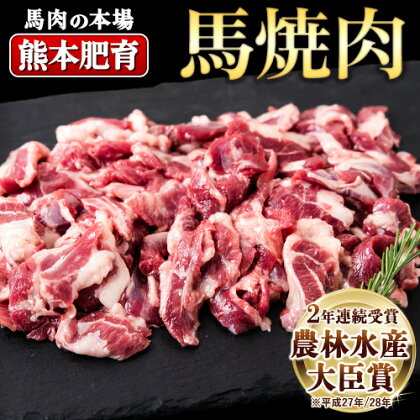 馬ひも焼肉用300g(50g×6袋) 肉 馬ひも 馬肉 南阿蘇村《30日以内に出荷予定(土日祝除く)》 2712163 - 熊本県南阿蘇村