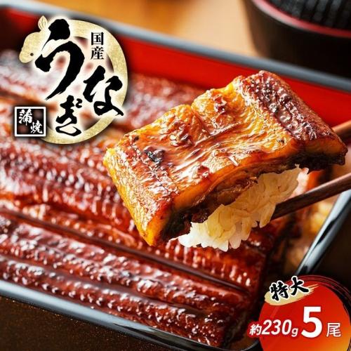 特大うなぎの蒲焼き 国産(愛知県産) 約230g前後 5尾 2712246 - 福井県若狭町