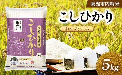 こしひかり 約5kg 東温市内精米 （中平ファーム・鬼北町産）数量限定 美味しい つや 高級  お米 5キロ 米 精米 白米 ブランド米 ご飯 ごはん 愛媛県 東温市 2712300 - 愛媛県東温市