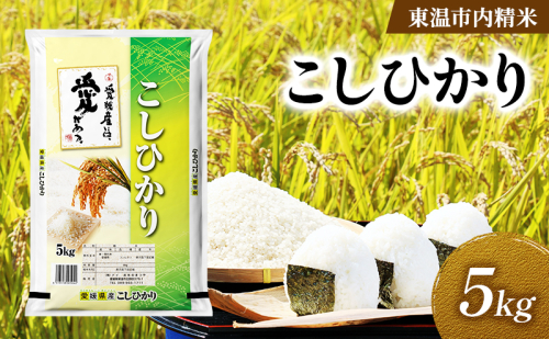 こしひかり 約5kg 東温市内精米 （愛媛県内産）数量限定 美味しい つや 高級  お米 5キロ 米 精米 白米 ブランド米 ご飯 ごはん 愛媛県 東温市 2712304 - 愛媛県東温市