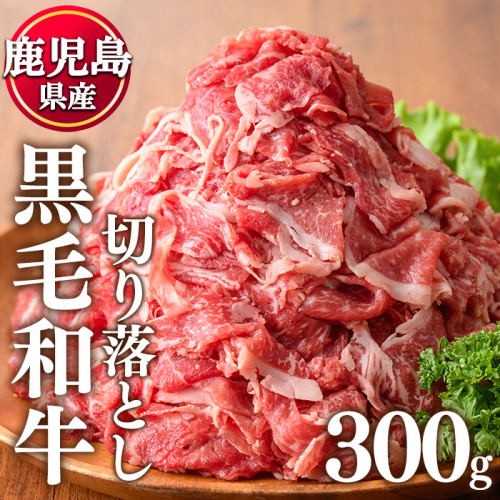 No.1375 鹿児島県産 黒毛和牛切り落とし(計300g) 牛肉 切落し 切り落し 和牛 冷凍 鹿児島産 国産 小分け 国産牛 お肉 牛丼 野菜炒め カレー 冷凍 寄附額改定 小分け 【LRプラスK】 2712313 - 鹿児島県日置市