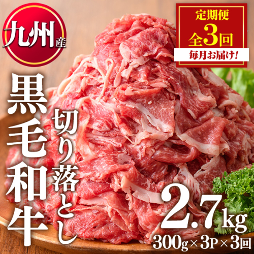No.1376-A ＜定期便・全3回＞九州産 黒毛和牛切り落とし(総計2.7kg・300g×3P×３回) 牛肉 切落し 切り落し 和牛 冷凍 九州産 国産 小分け 国産牛 お肉 牛丼 野菜炒め カレー 定期便 冷凍 寄附額改定 小分け 【LRプラスK】 2712464 - 鹿児島県日置市