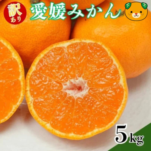 【先行予約：2026年11月中旬～発送】訳あり愛媛みかん 5kg +傷み保証250g 数量限定 温州みかん みかん ミカン 蜜柑 柑橘 不揃い サイズミックス 規格外 愛媛県 愛南町 愛南町青果市場組合 2712468 - 愛媛県愛南町