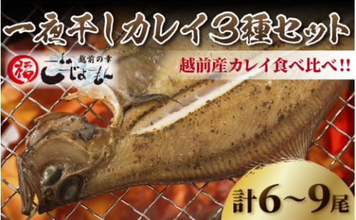 越前産 かれい 「一夜干しカレイ3種セット（合計6～9尾）」 [e15-a001]