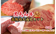 黒毛和牛 A5ランク ブロック肉 食べ比べセット 6kg モモ・ヒレ・サーロイン 各2kg 国産和牛 A5 牛肉 ブロック ステーキ 焼肉 ローストビーフ ヒレステーキ サーロインステーキ ふるさと納税 人気 高評価