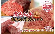 【定期便 全6回】黒毛和牛 A5ランク ブロック肉 食べ比べセット 1.5kg モモ・ヒレ・サーロイン 各500g 国産和牛 A5 牛肉 ブロック ステーキ 焼肉 ローストビーフ ヒレステーキ サーロインステーキ ふるさと納税 人気 高評価
