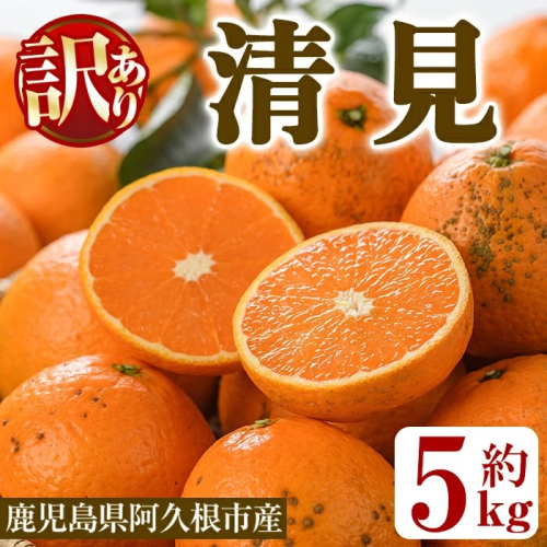 ＜先行予約受付中！2027年2月以降順次発送予定＞訳あり 清見(約5kg) 国産 鹿児島県 阿久根市 果実 果物 フルーツ 柑橘 みかん ミカン きよみ 訳アリ 期間限定 数量限定 【桐野柑橘株式会社】akn070-20 2712848 - 鹿児島県阿久根市