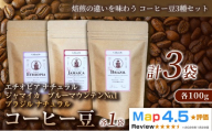 【焙煎の違いを味わう コーヒー豆3種セット】(計100g×3袋)×1セットコーヒー豆 エチオピア ジャマイカ ブラジル ナチュラル製法 コーヒー豆 コーヒー 焙煎 浅煎り 中煎り 中深煎り 飲みやすい ご褒美 来客用 お取り寄せ ギフト 敬老の日 贈答 贈り物