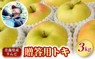 [先行受付][10月中旬以降順次発送] りんご トキ 3kg 程度 [ 贈答 ] 青森県産 農家直送 とき 贈答 プレゼント 林檎 リンゴ apple 黄色 青森県 五所川原市