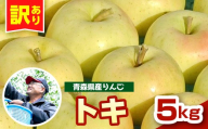 【先行受付】【10月中旬以降順次発送】 りんご 5kg トキ 青森県産 【訳あり】 とき 農家直送 傷 キズ ワケアリ 林檎 リンゴ apple 黄色 青森県 五所川原市
