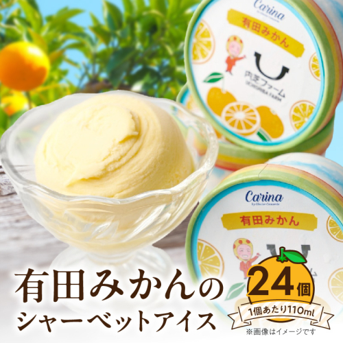 有田みかんシャーベットアイス 24個入り_ZE6528 2712905 - 和歌山県湯浅町