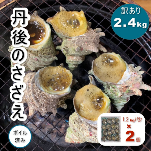 訳あり　京都府産　さざえ（ボイル済）2.4kg（約24～48個） 2712912 - 京都府京丹後市