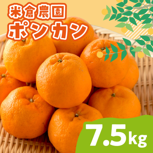 ポンカン 7.5キロ《先行予約2027年1月中旬頃より順次発送予定》 2713056 - 和歌山県御坊市