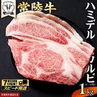 【 スピード発送 】【 常陸牛 】A5 等級 ハミデルカルビ 1kg (6～10枚) ひたちぎゅう ブランド牛 カルビ 国産牛 黒毛和牛 和牛 国産黒毛和牛 お肉 A5ランク 高級 BBQ パーティ (茨城県共通返礼品) [BX128-NT-sp]