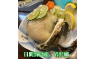 漁師直送! そのまま 日間賀島産 天然 岩牡蠣 4kg (4~6個) 岩牡蠣 牡蠣 かき BBQ 魚貝類 魚貝類 貝 かい 魚介類 海鮮 夕食 ごはん 鮮度抜群 冷蔵 新鮮