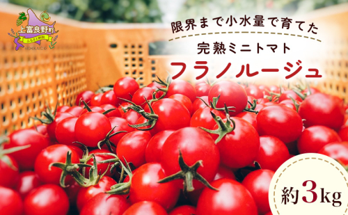 訳あり 北海道 完熟 新鮮 ミニトマト フラノルージュ 3kg 上富良野 自宅用 野菜 産地直送 2713331 - 北海道上富良野町
