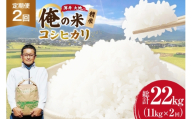 【俺の米】 米 定期便 2回 令和8年 コシヒカリ 精米 11kg 計 22kg [薄井 大地 長野県 池田町 48110936] お米 おこめ こめ コメ 白米 ご飯 ごはん 定期 2ヶ月  おにぎり こしひかり 美味しい もっちり 甘い 農家 直送 10キロ 20キロ 以上 令和8年産 先行予約 新米
