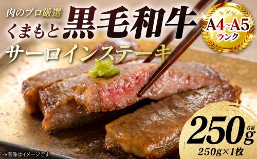 【A4～A5ランク】 くまもと黒毛和牛 サーロイン ステーキ 250g （250g×1枚） 和牛ステーキ 牛肉 お肉 サーロイン 黒毛和牛 冷凍 焼肉 BBQ おかず ギフト 熊本県 八代市 2713399 - 熊本県八代市