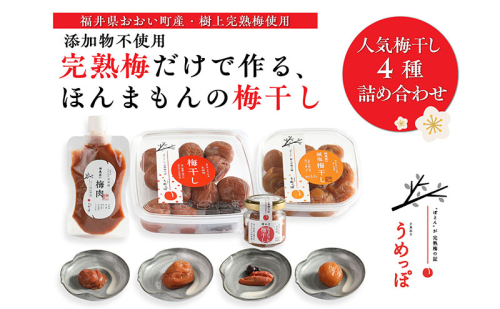 おおい町産の希少品種の完熟梅　昔ながらの梅干　いろいろセット 紅映梅 希少品種 樹上完熟 昔ながら 梅農家が作った 手作り 福井梅 梅 梅干 梅干し うめぼし 完熟 食べ比べ セット 福井県 おおい町 2713414 - 福井県おおい町