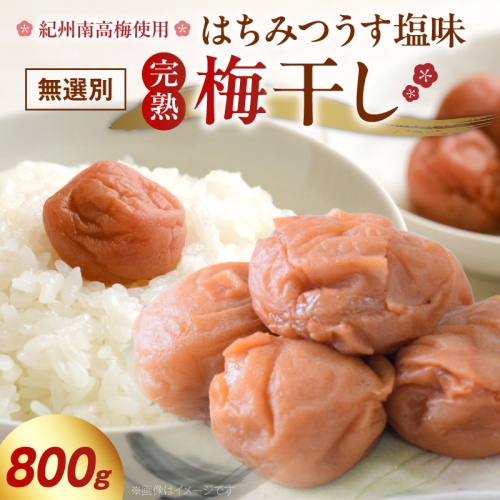 紀州南高梅使用 はちみつうす塩味完熟梅干し 無選別 800g_ZD7034 2713473 - 和歌山県湯浅町