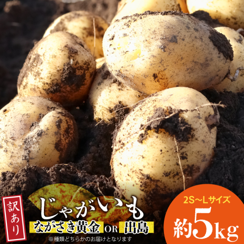BH050 じゃがいも 訳あり ながさき黄金 出島 約5kg [ 野菜 訳アリ 芋 ジャガイモ 5キロ ほくほく 先行予約 常備野菜 国産 贅沢宝庫 長崎県 島原市 ] 2713578 - 長崎県島原市