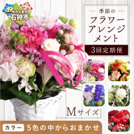 【定期便全3回】季節のフラワーアレンジメントM 【お任せ（ランダム）】 | ふるさと納税 花 フラワー 四季 ギフト プレゼント 北海道 石狩市