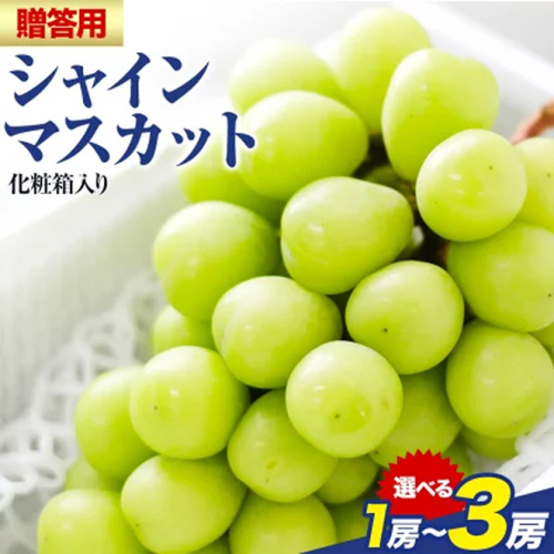 贈答用 フルーツ王国 岡山県産 シャインマスカット 化粧箱入り 1房 2房 3房 前後 Lino ＆ Kai Farm《2026年10月上旬-11月中旬頃出荷》マスカット 送料無料 岡山県 浅口市 ギフト シャインマスカット 岡山 ぶどう フルーツ 果物
 2713618 - 岡山県浅口市